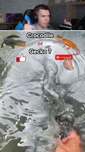 99% Не Смогут УГАДАТЬ Правильно!🤯🐊  #shorts #шортс #челлендж #тест #прикол #мем #реакция #юмор