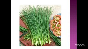 Уход за садом с Анастасией Борункова 12.2 14:00