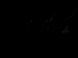 Нахлыстовые катушки  Продолжение