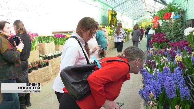 Волгоградцев приглашают насладиться красотой тюльпанов, примул и гиацинтов
