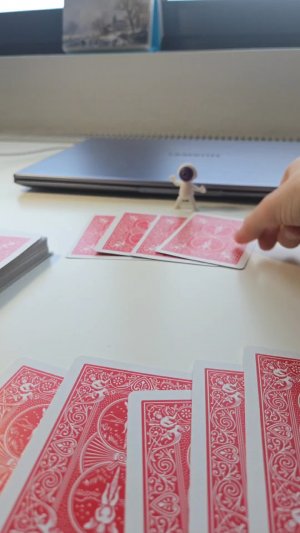 играю в покер сам с собой