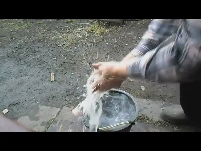 Универсальное чистящее средство для рук. Чистит всё