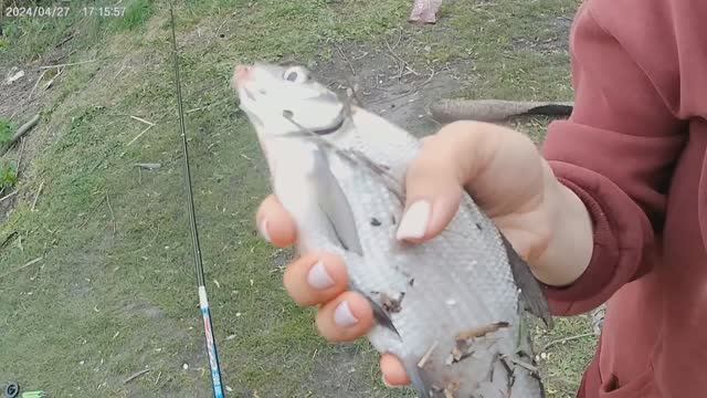 Рыбалка с женой. Ужасный ветер, но улов обеспечен. Архив, апрель 2024 г. смотреть онлайн