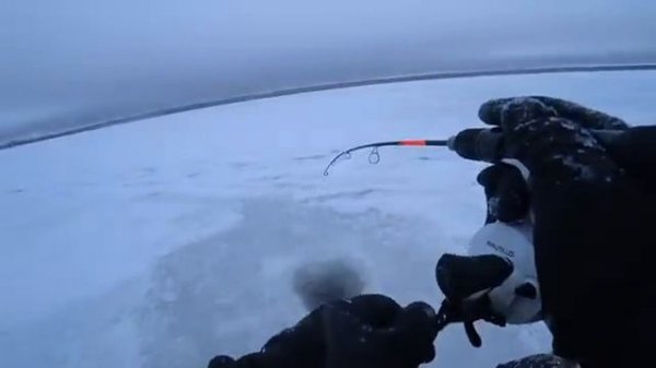 ПОСТАВИЛ ХАПУГУ НА ПЕРВОМ ЛЬДУ! ЗДЕСЬ ТОННЫ РЫБЫ! Первый лед 2025. Зимняя рыбалка.