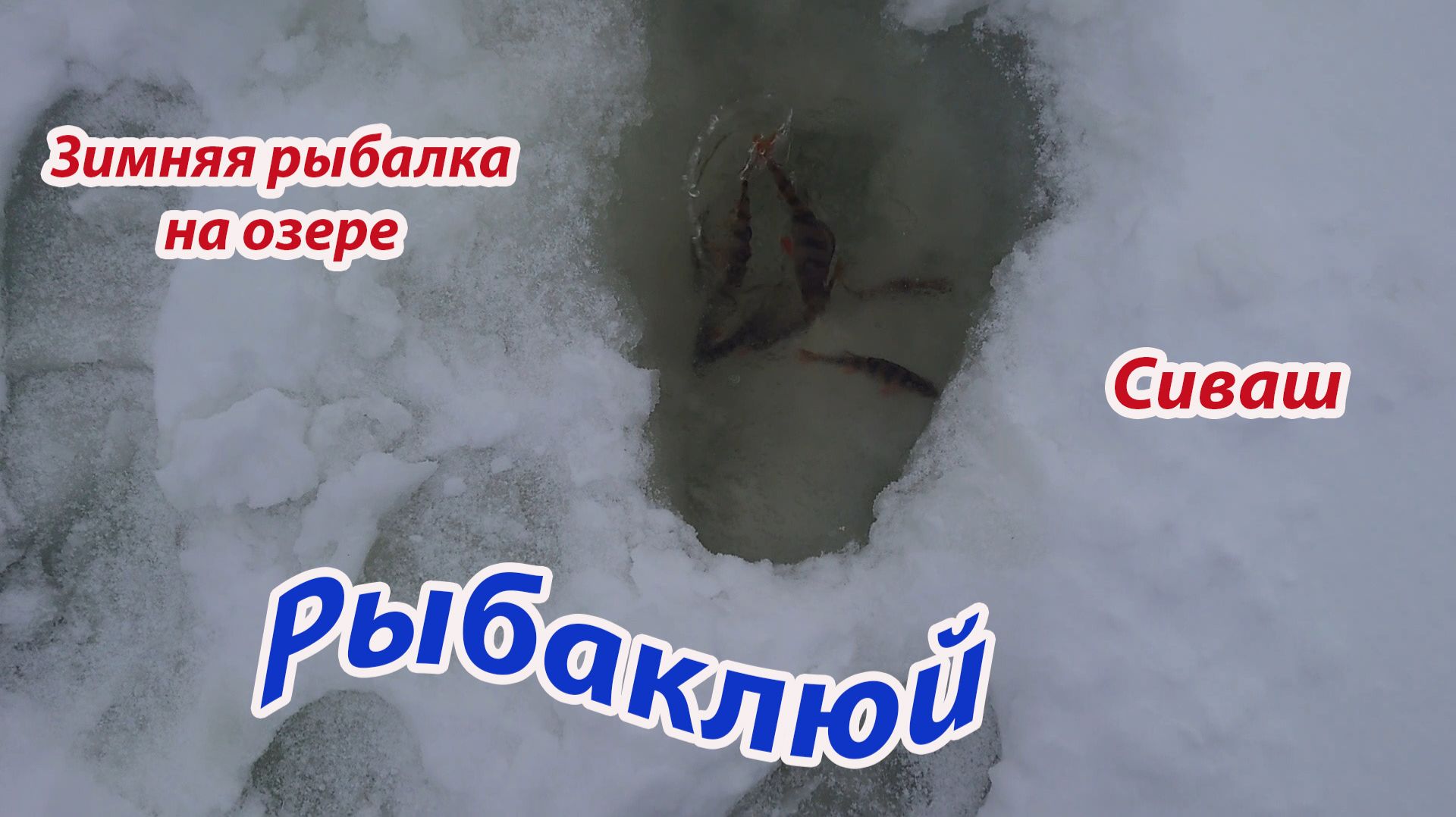 Сиваш - зимняя рыбалка на озере смотреть онлайн