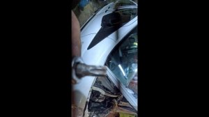 Замена ремня грм Peugeot Expert 1.6 90 л.с