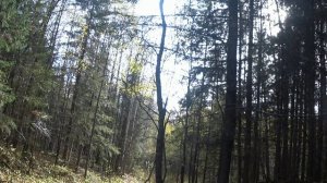 Охота это как в лотерее, жалеть не о чем не надо.