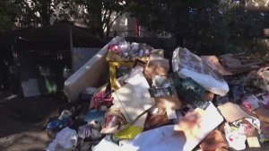 В Сочи "черные мусорщики" попали в объектив камеры наблюдения