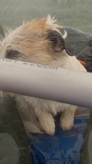 Что мне снег, что мне зной... #рыбалка на Тимане #природныепейзажи