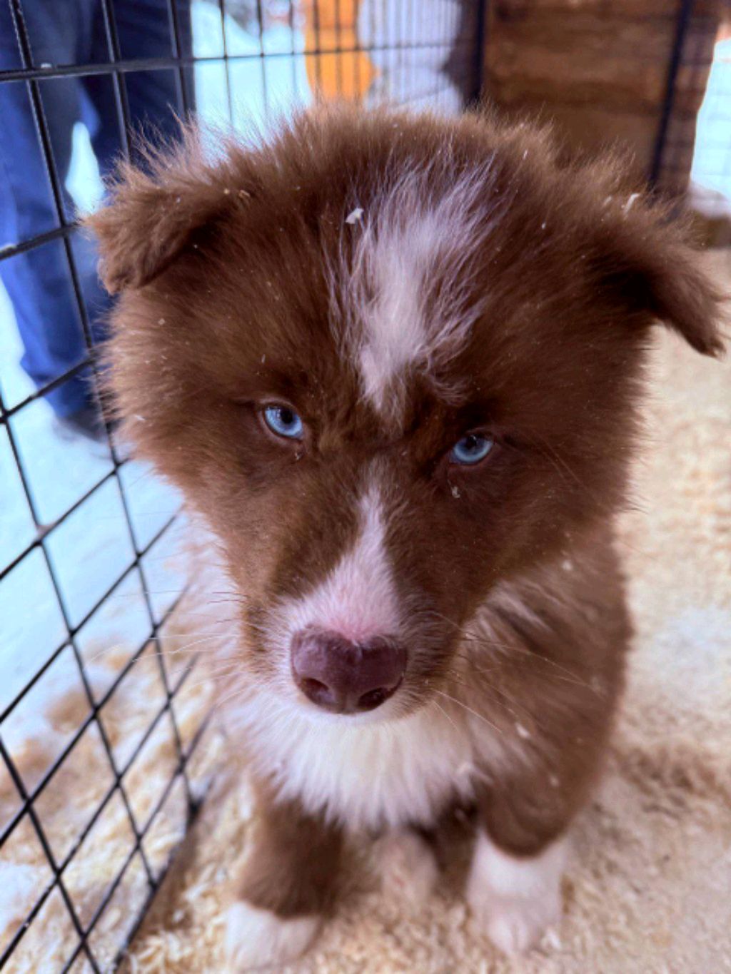 стрим смотреть онлайн