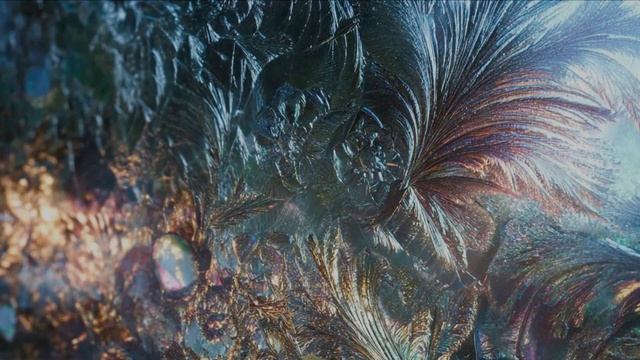 Tell me February - DJ Vik