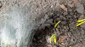 Что  такое не пойму неизвестное