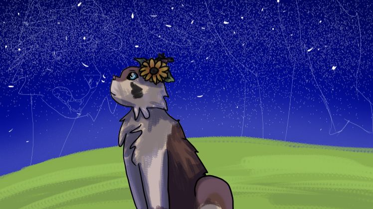 Для конкурса Яролапки