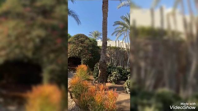 Sentido Reef Oasis 5* Египет 2025