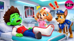 Щенячий патруль и Маршалл. Залипательное видео. Мультфильм для детей и малышей. Анимация 231