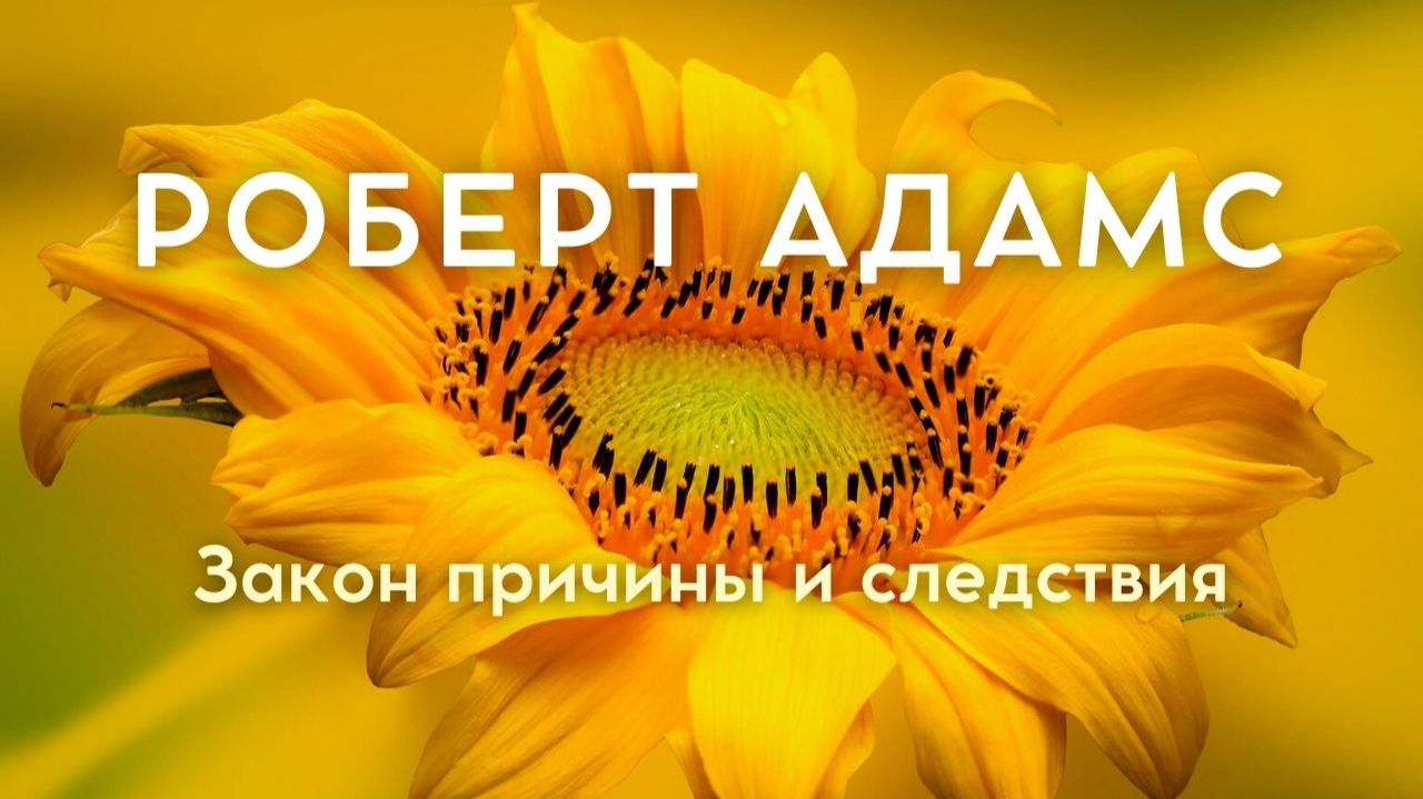 Причины и следствия — иллюзия времени. Роберт Адамс смотреть онлайн