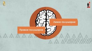 Влияние грубого отношения на будущее детей | Валид Фатихи