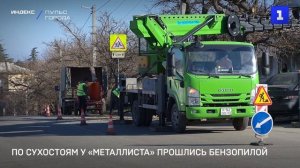 По сухостоям у «Металлиста» прошлись бензопилой