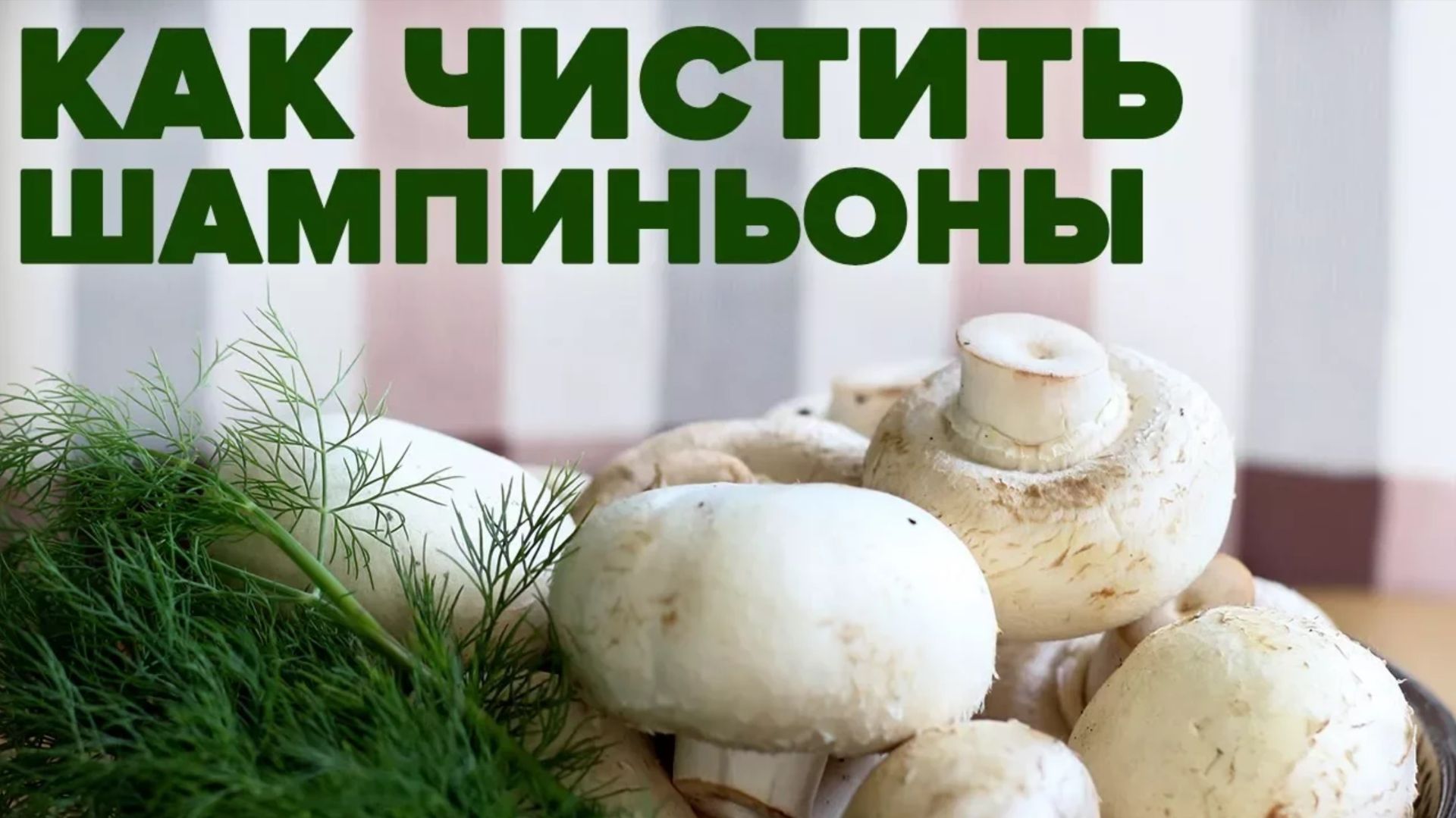 Как чистить шампиньоны перед готовкой смотреть онлайн