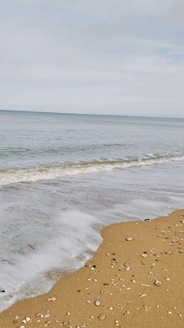 Идеальное место для релаксации и восстановления сил... #ЛаМанш #Путешествия #февраль2026 #МорскиеПр смотреть онлайн