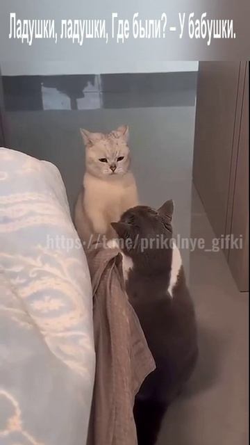 Ладушки, ладушки)