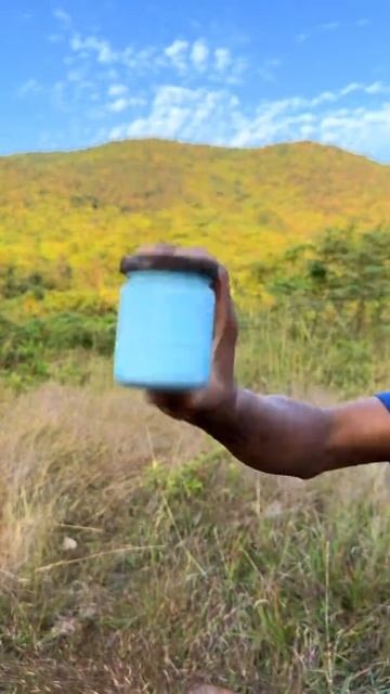 2026-01-29 смотреть онлайн