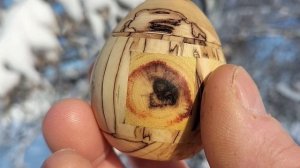 Шкатулка в зимнем парке на заснеженной липе