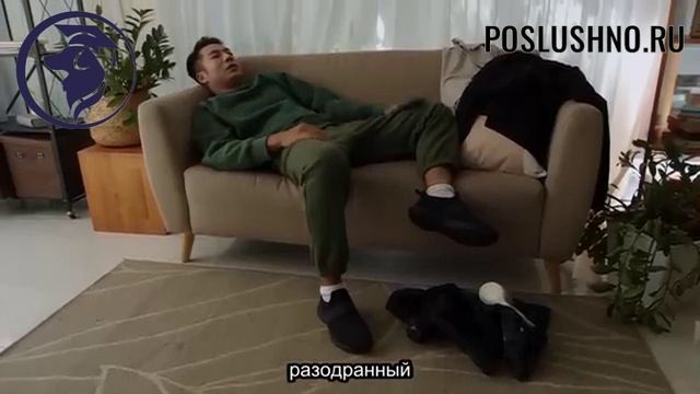 Ошибки при дрессировки. Как правильно воспитать собаку? смотреть онлайн