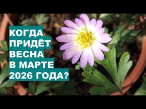 Март 2026: Климатическая Перезагрузка Продолжается. Погодные качели от метели до солнечного дня?!