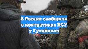 В России сообщили о контратаках ВСУ у Гуляйполя