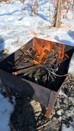 выбрались на природу, костёр, шашлыки