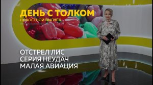 День с Толком 12.02.2026