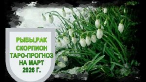 РЫБЫ, РАК, СКОРПИОН ТАРО-ПРОГНОЗ НА МАРТ 2026 ГОДА
