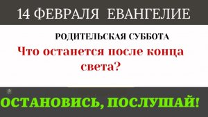 14  февраля  Отягченное сердце. Три вещи, которые мешают нам взлететь навстречу Христу.