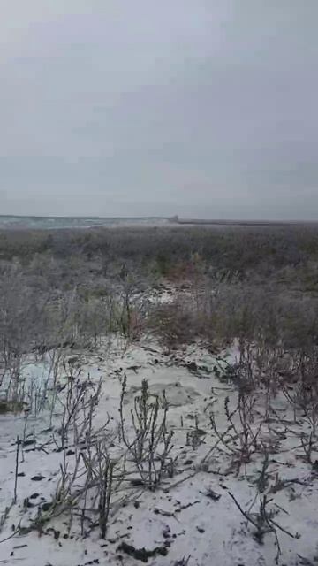 Залетел на опен эйр, Зов пати нон стоп. Братик береги себя. смотреть онлайн