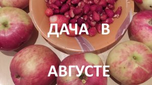 Дача в августе// земляника,виноград и цветы.