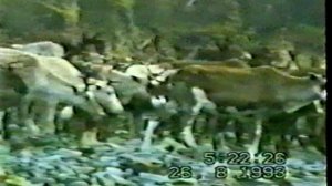 Зырянка Колыма Природа 2 часть