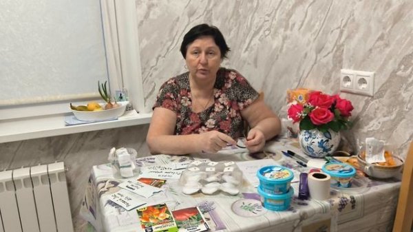 Как правильно посеять перцы.🌶️🌶️🌶️