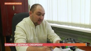 Озимые держат оборону