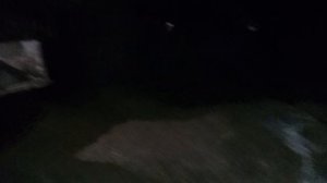 Вечерний порядок: управление хозяйством"