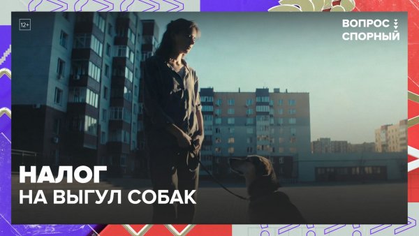 В России предложили ввести налог на выгул собак | Вопрос спорный — Москва 24 | Контент