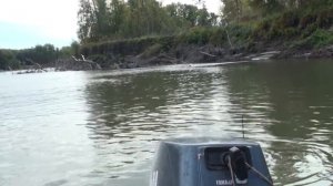 Ловлю закилошных лещей. Косачёвка.....