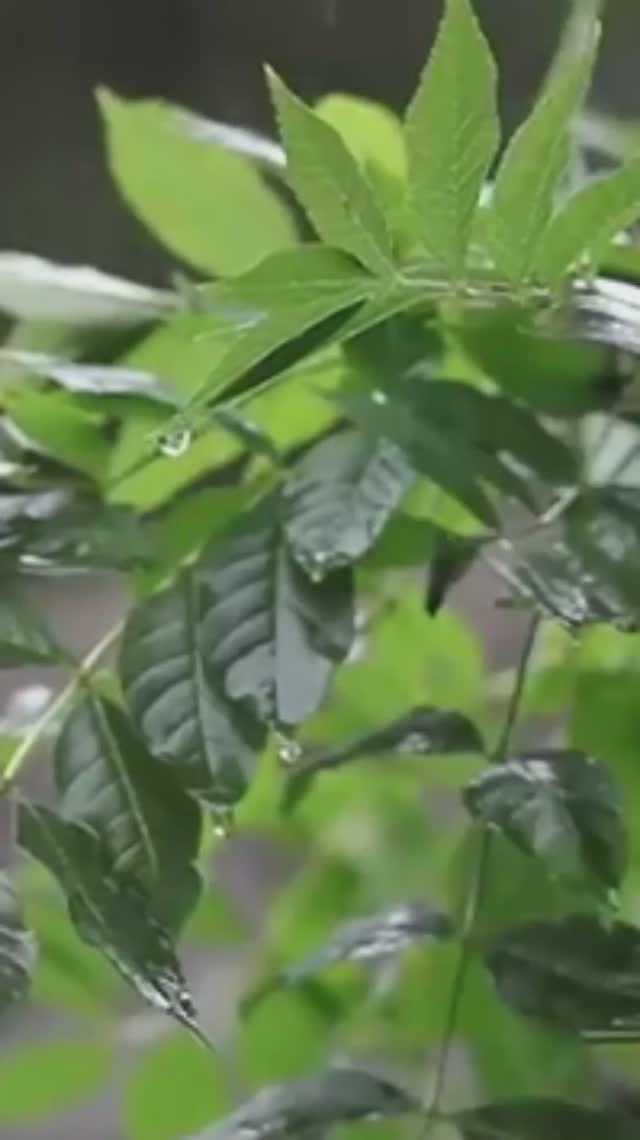 Цените поступки ... смотреть онлайн