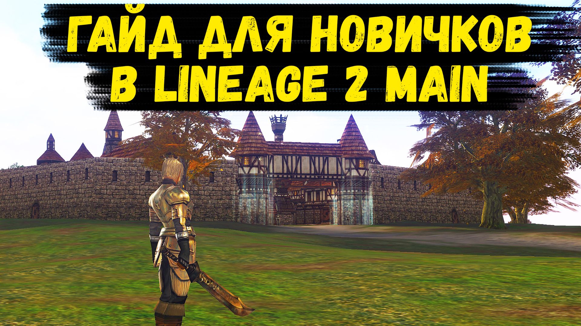 РУКОВОДСТВО ПО ИГРЕ! ГАЙД ДЛЯ НОВИЧКОВ в Lineage 2 Main 2026. смотреть онлайн