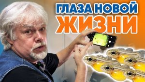 Аквариумные истории из ЭКЗОМЕНЮ (13.02.2026). Глаза новой жизни и раскатанная губа.