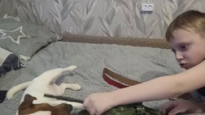 VID_20260213_170851.mp4