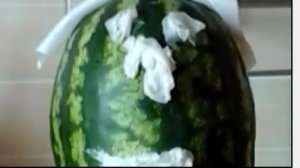 Танец Арбуза и Мошки. Танцуй под Бузову.