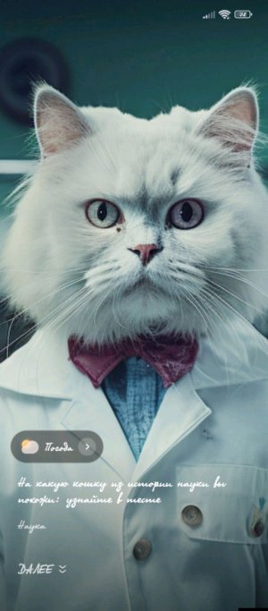 нам нахер делать...