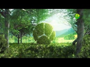 Выход с профилактики канала Живая планета 15.10.2025