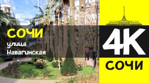 СОЧИ 4К / СОЧИ - улица Навагинская  / 7 февраля 2026 / #путешествие #отдых #море